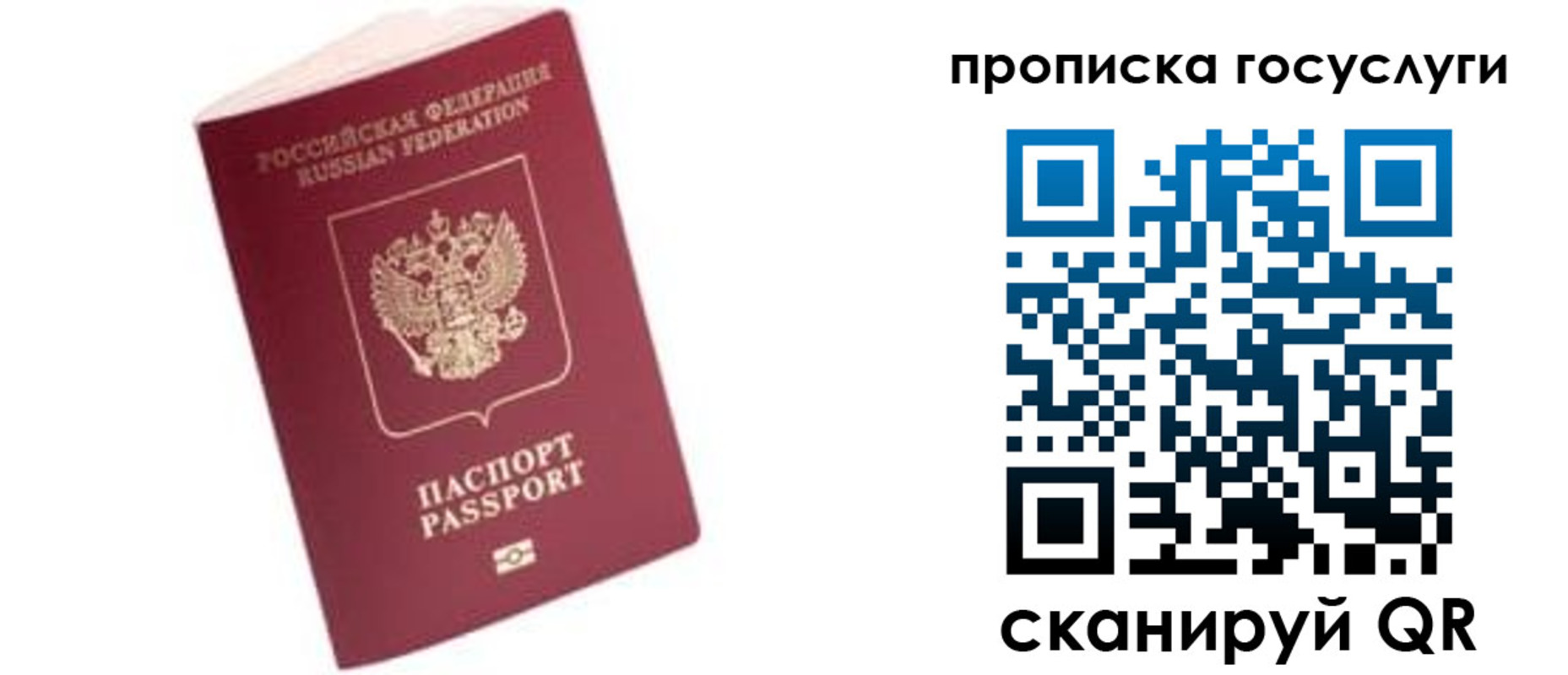 прописка в Ефремове
